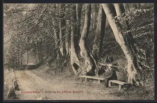 AK Gremsmühlen, Holm an der schönen Aussicht