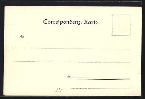 AK Alt-Wien, Neu-Thor (Vorstadt-Seite)
