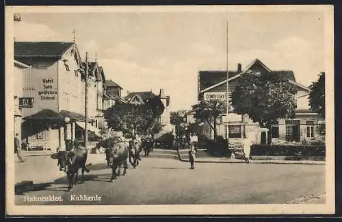 AK Hahnenklee, Kuhherde vor dem Hotel zum goldenen Löwen