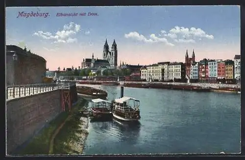 AK Magdeburg, Elbansicht mit Dom und Dampfer