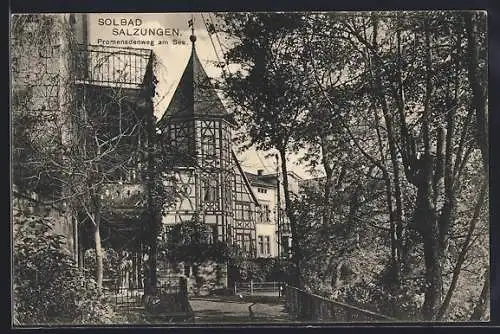 AK Bad Salzungen, Promenadenweg-Strasse am See