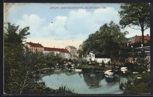 AK Erfurt, Karthäuserufer & Goldfischteich