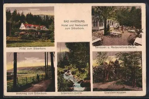 AK Bad Harzburg, Hotel und Restaurant zum Silberborn, Elferstein-Klippen, Waldweg zum Silberborn