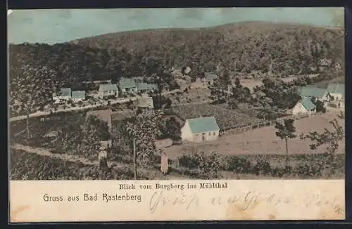 AK Rastenberg i. Thür., Blick vom Burgberg ins Mühlthal