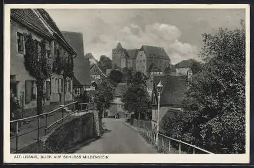 AK Alt-Leisnig, Blick auf Schloss Mildenstein von der Bachgasse aus