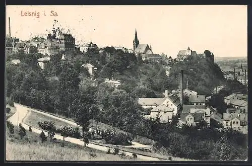 AK Leisnig i. Sa., Blick vom Berg auf den Ort