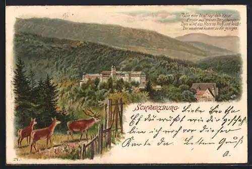 Lithographie Schwarzburg, Ortsansicht vom Wald aus