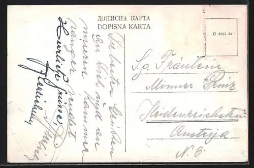 AK Novi Sad, Uprava Dunavske Banovine