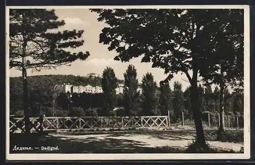 AK Dedigné, Strassenpartie mit Blick auf den Wald