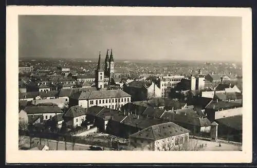 AK Pancevo, Panorama