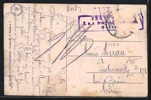 AK Brassó, Látkép