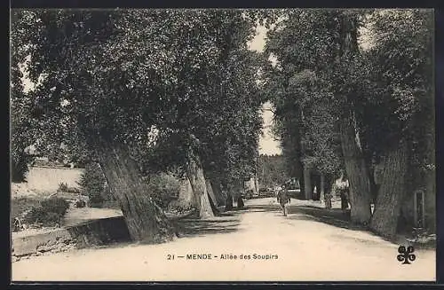 AK Mende, Allée des Soupirs avec arbres majestueux et promeneurs