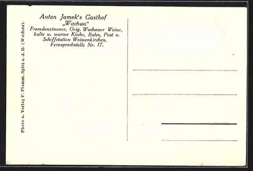 AK Joching a. d. D., Anton Jameks Gasthof Wachau, passierender Dampfer