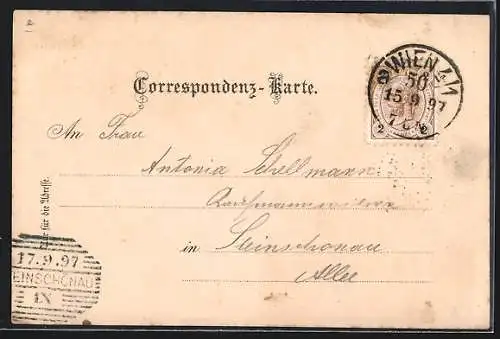 Lithographie Wien, Votivkirche, Gesamtansicht