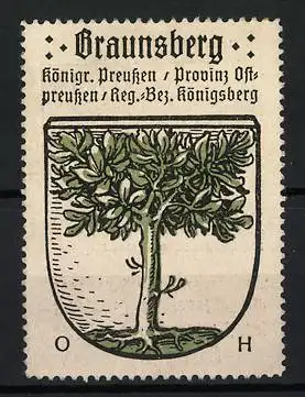 Reklamemarke Braunsberg, Königreich Preussen Provinz Ostpreussen, Baum im Wappen