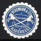 Reklamemarke Radebeul, Bergmann & Co., Steckenpferd