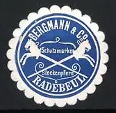 Reklamemarke Radebeul, Bergmann & Co Schutzmarke, Steckenpferd