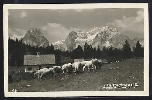 AK Hinterstoder /Oberösterreich, Hutterboden-Almhütte