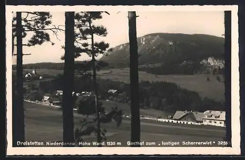 AK Dreistetten /Niederdonau, Gasthof zum lustigen Scherrerwirt und Hohe Wand