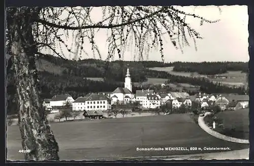 AK Wenigzell /Oststeiermark, Teilansicht mit Kirche