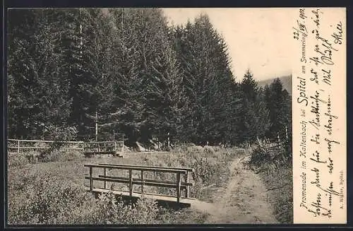 AK Spital am Semmering, Promenade am Kaltenbach