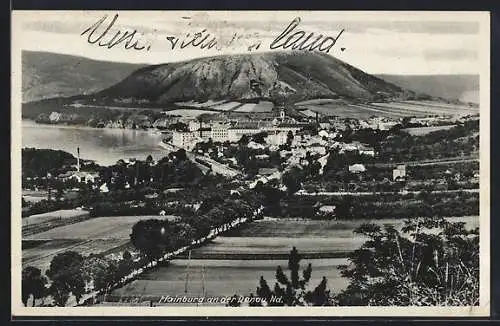 AK Hainburg an der Donau, Teilansicht mit Strassenpartie