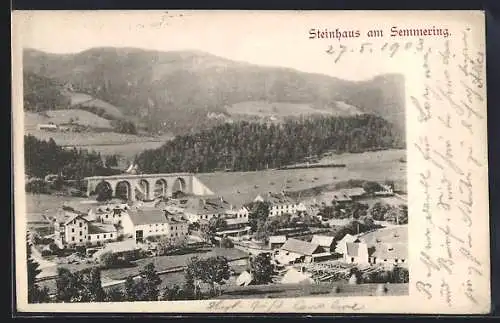 AK Steinhaus am Semmering, Teilansicht mit Viadukt