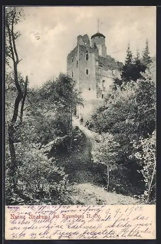 AK Kaumberg /N.-Oe., Aufgang zur Ruine Uraburg