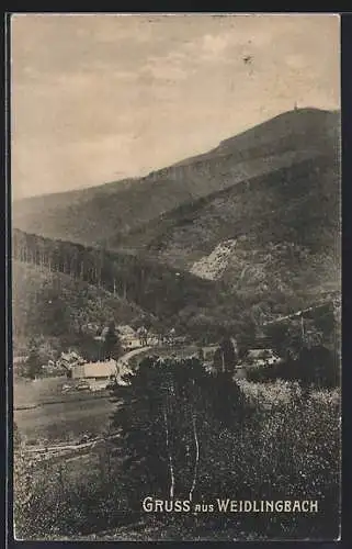 AK Weidlingbach, Teilansicht vom Berg gesehen