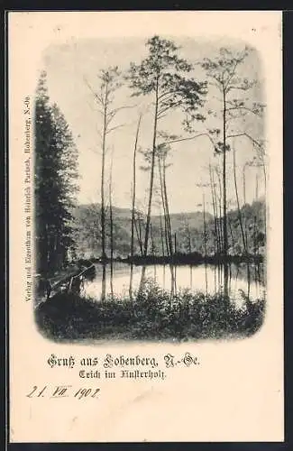 AK Hohenberg, Teich im Finsterholz