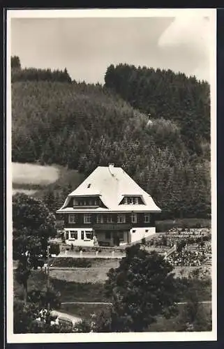 AK Neustadt i. Hochschwarzwald, Pension Haus Sonnhalde