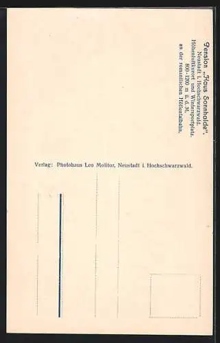 AK Neustadt i. Hochschwarzwald, Pension Haus Sonnhalde