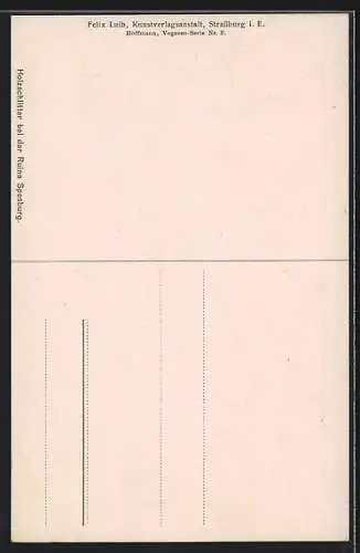 AK Holzschlitter bei der Ruine Spesburg
