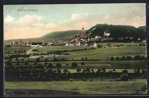 AK Herrenberg, Ortsansicht aus der Ferne