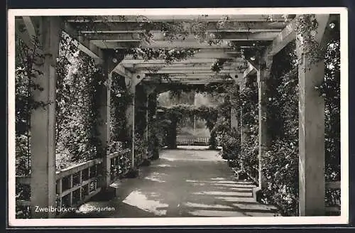 AK Zweibrücken, Partie im Rosengarten