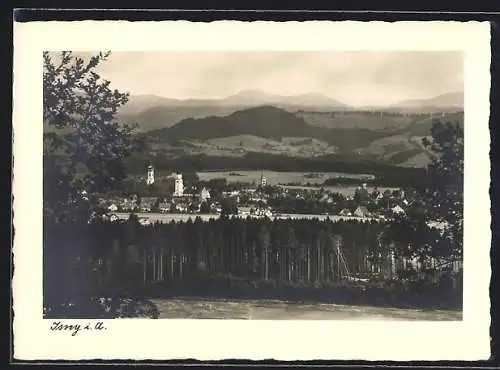 AK Isny i. A., Ortsansicht vom Wald aus