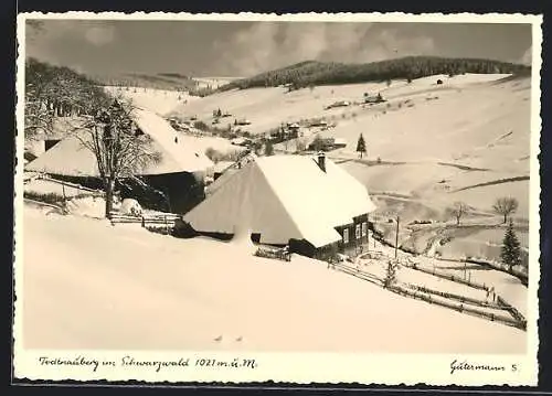 AK Todtnauberg im Schwarzwald, Ortsansicht im Winter