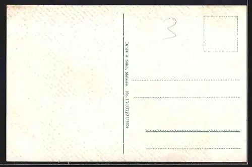 AK Sebnitz /Sächs. Schweiz, Teilansicht mit Strassenpartie