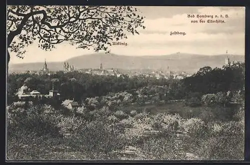 AK Bad Homburg, Totalansicht mit Feldberg