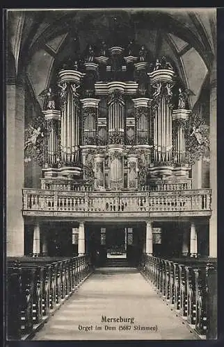 AK Merseburg, Orgel im Dom, 5687 Stimmen