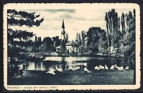 AK Bucuresti, Lacul din Parcul Carol