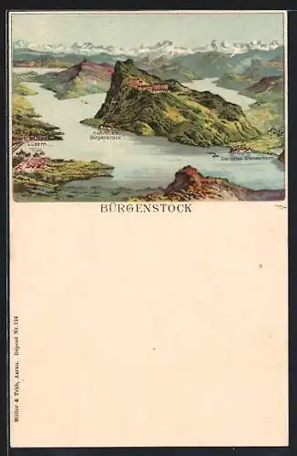 Lithographie Bürgenstock, Blick zum Berg mit Umgebung am Vierwaldstätter See