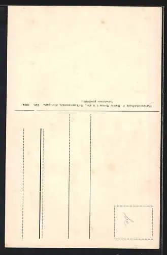 AK Pilze auf einer Wiese