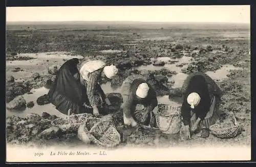 AK Honfleur, La Peche des Moules, Frauen sammeln die Muscheln bei Ebbe