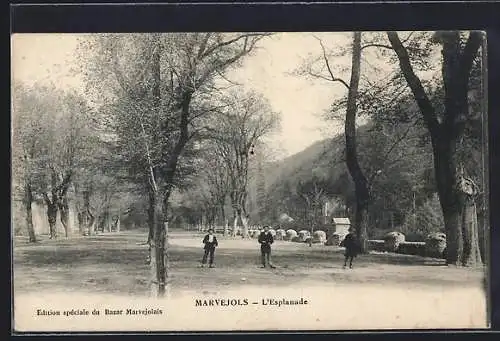 AK Marvejols, L`Esplanade avec allée d`arbres et promeneurs