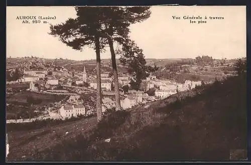 AK Auroux, Vue Générale à travers les pins