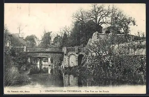 AK Châteauneuf-en-Thymerais, Une vue sur les Fossés