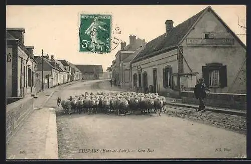 AK Thivars, Une rue avec troupeau de moutons et berger