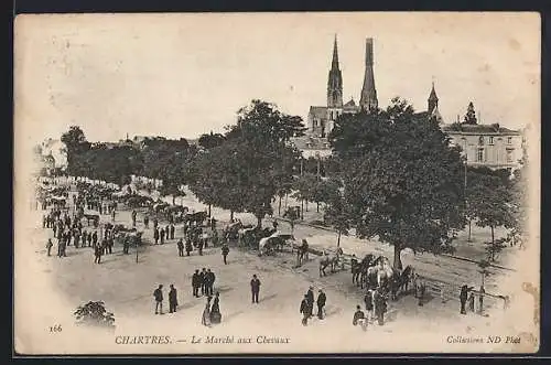 AK Chartres, Le Marché aux Chevaux