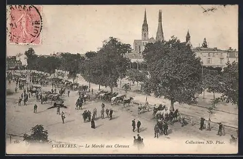 AK Chartres, Le Marché aux Chevaux